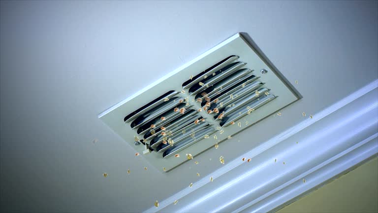 Best HVAC System Cleaning  in Bay Minette, AL